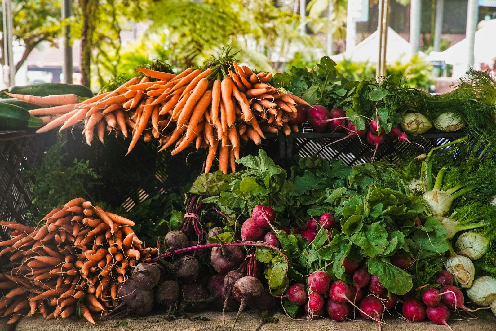 Herbs and tonics supporting energy and post-viral recovery